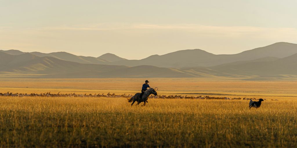 A person riding a horse in the middle of a field