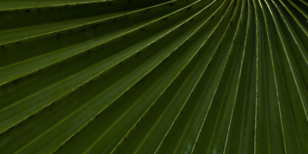 green plant