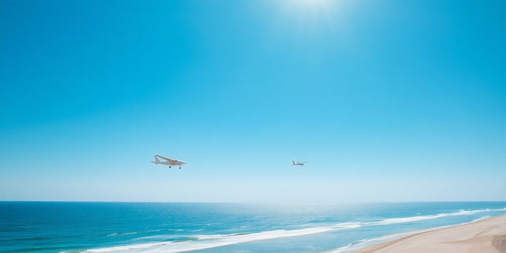 Avions volant près d'une côte ensoleillée.