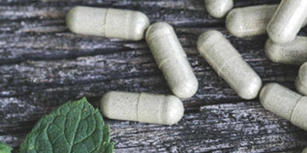 gut microbiota supplements