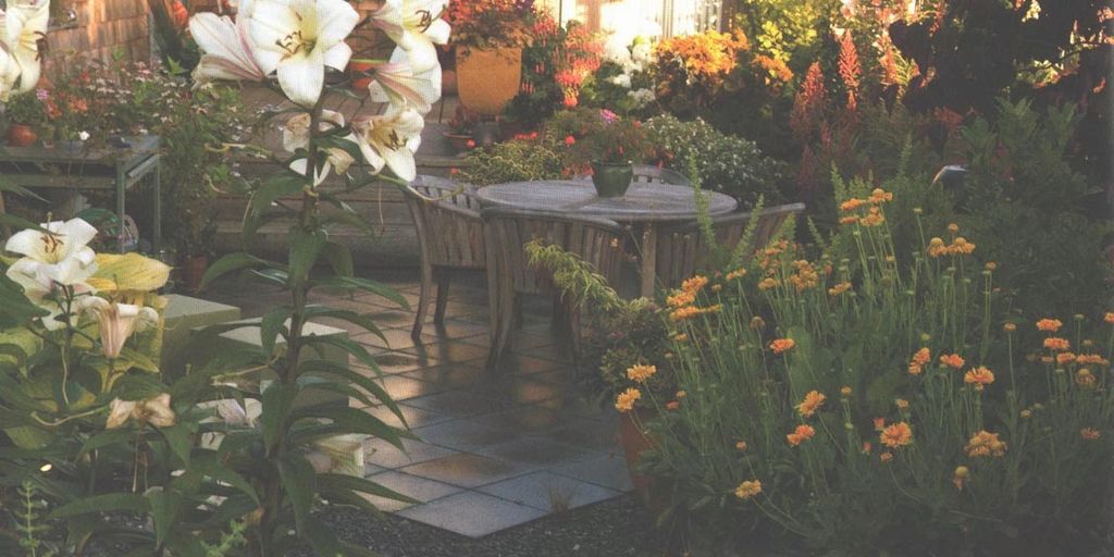rosemary plant in a low-maintenance garden