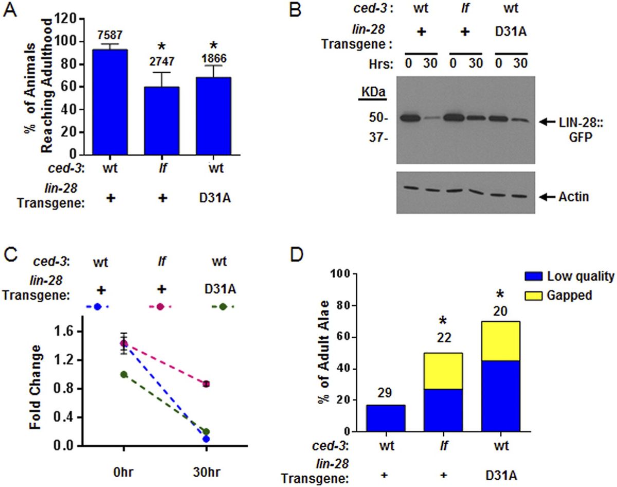 Strategic Planning and Process for Quality Assurance