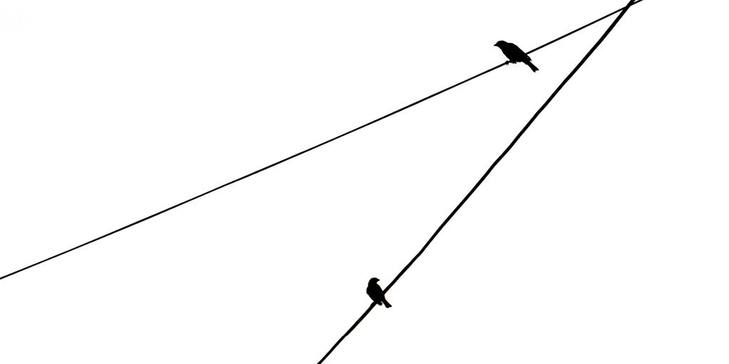 thumbnail Teste 17 tipos de investimento pra você conhecer!