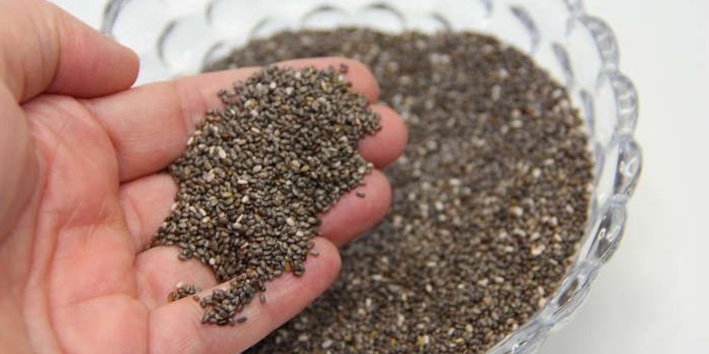 wholesale chia seeds