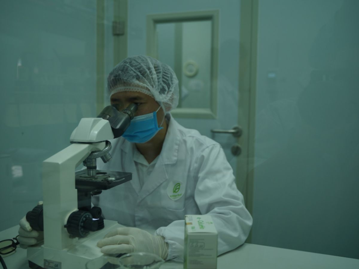 A person examines samples using a microscope in a lab.