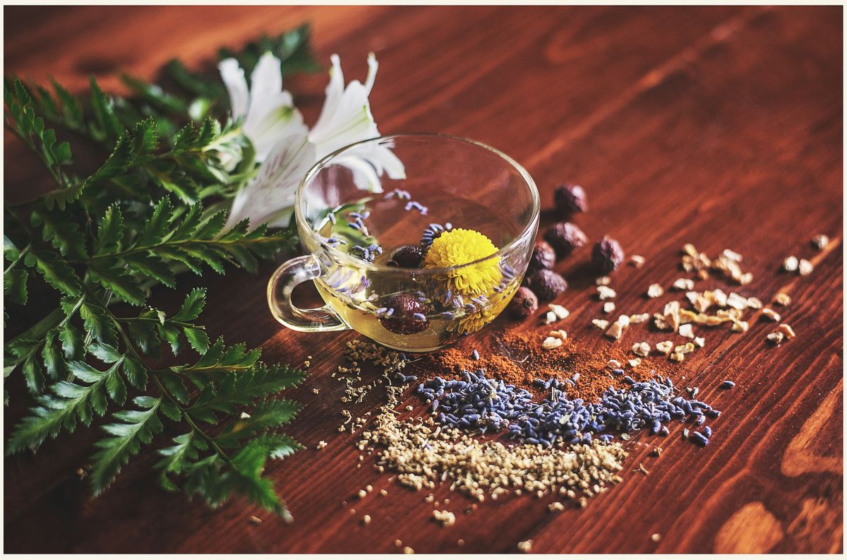 The Alchemy of JADAM Solutions: Brewing Potent Pesticides