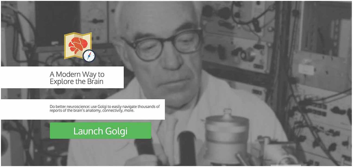 Integrating Clear Calls-to-Action to Guide Users