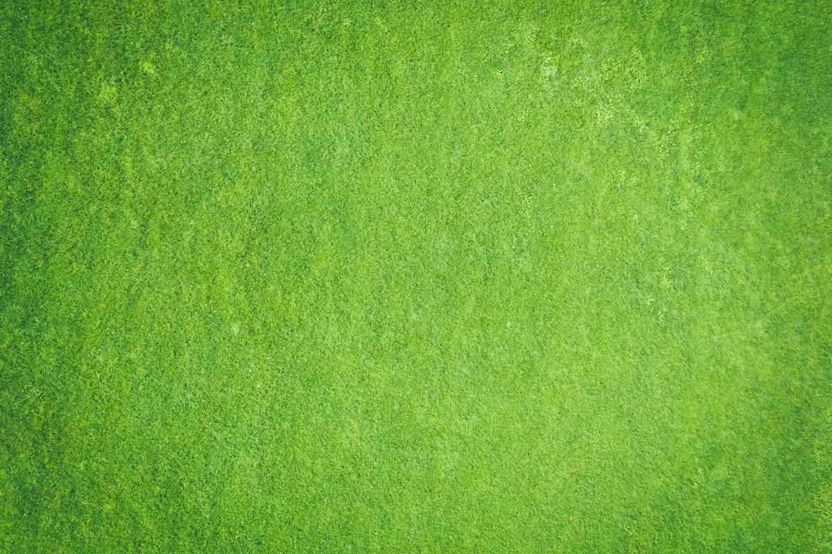 The Green Network: JADAM's Global Organic Crusade