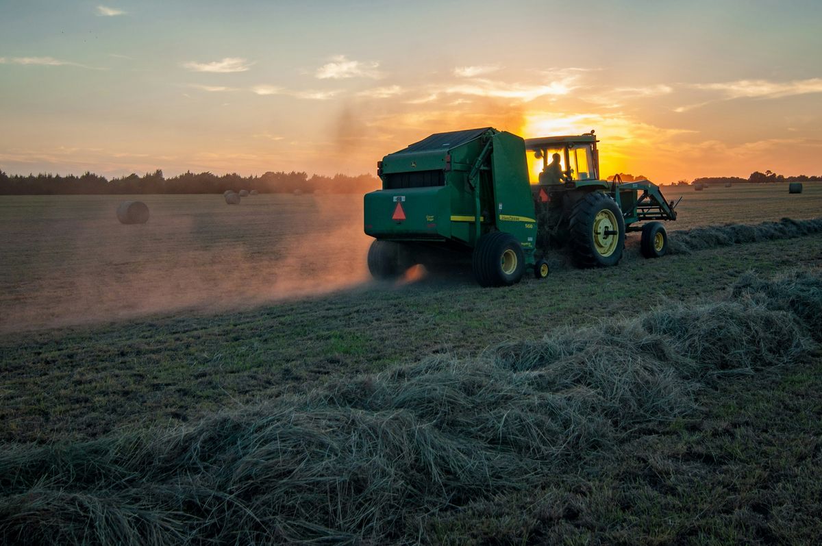 JADAM's Recipe for Success: Low-Cost, High-Quality Harvests