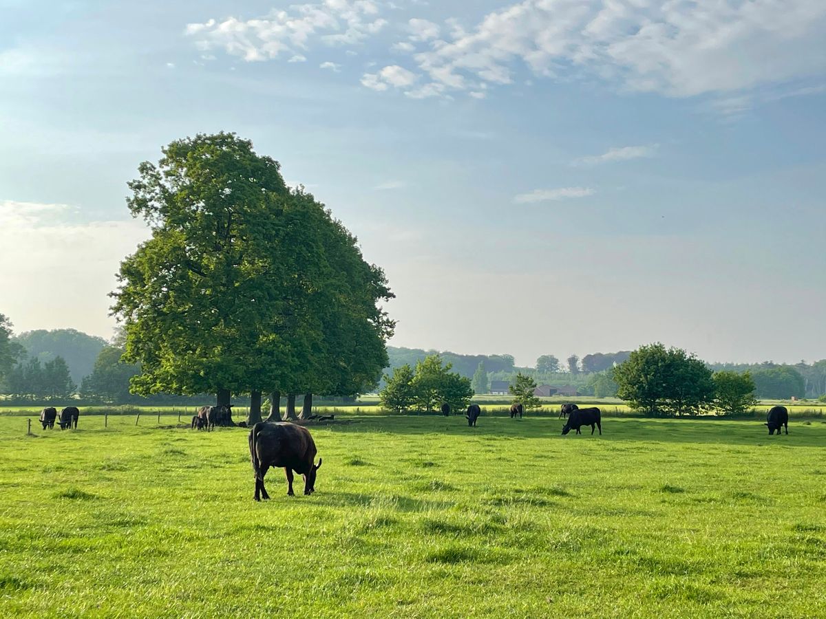 JADAM's Global Trot: Spreading the Word Beyond the Barnyard