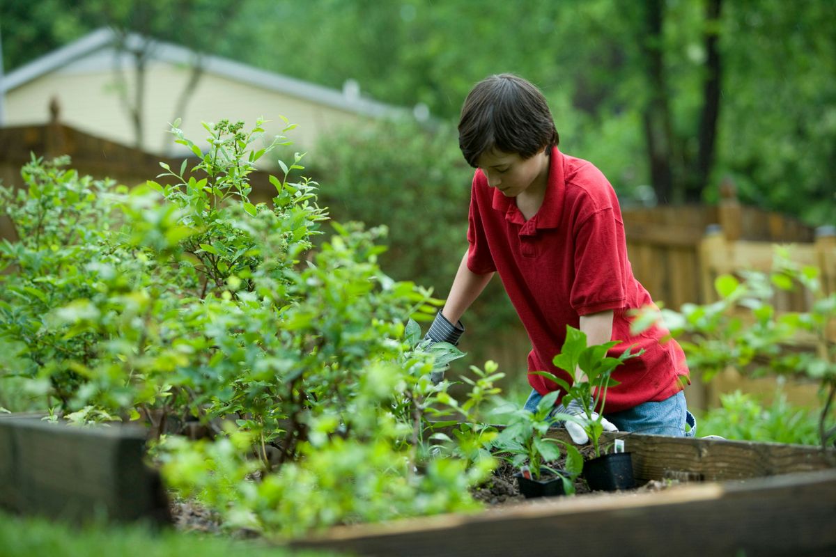 JADAM's Web of Wisdom: Spreading the Organic Gospel
