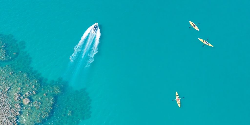 Jet ski, snorkelers, and kayaks in clear Cabo waters.