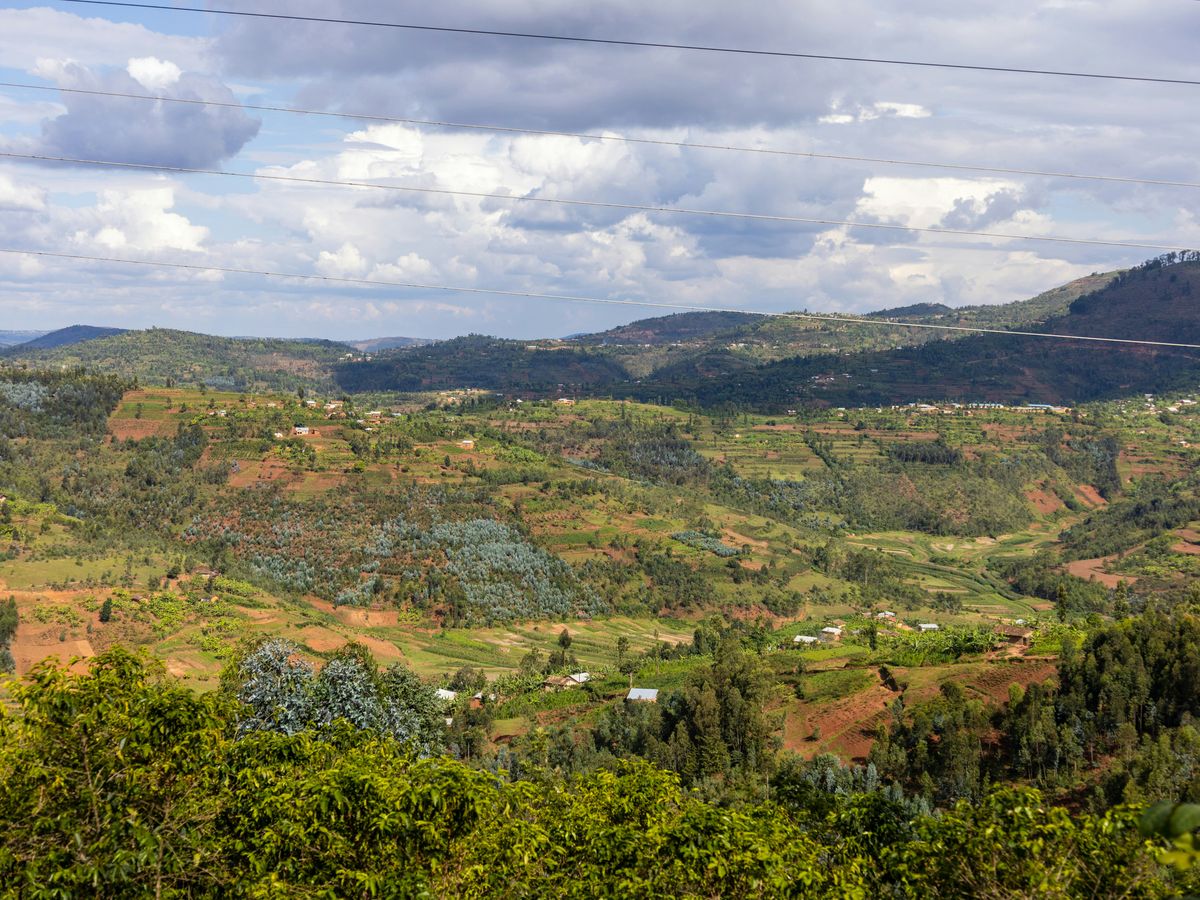 a scenic view of a valley with trees and hills in the background