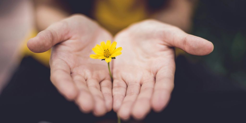 selective focus photography of woman holding yellow petaled flowers Lowes Tool Sale
