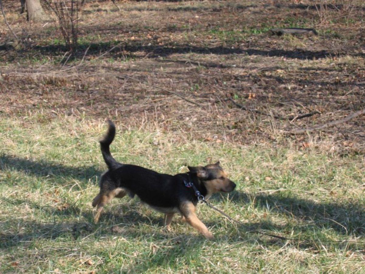 The Art of Visual Storytelling in Branding