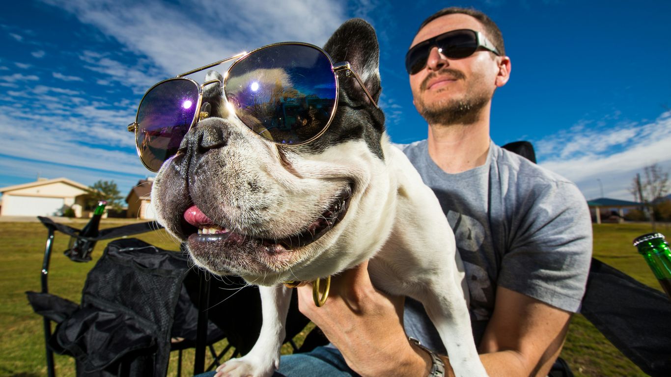 man in black sunglasses holding white short coated dog