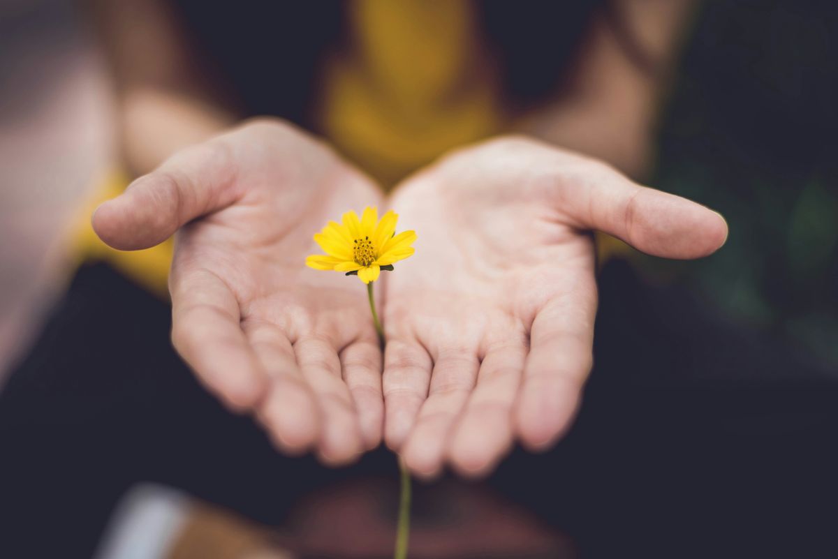 Sowing the Seeds of Success: Starting Your JADAM Journey