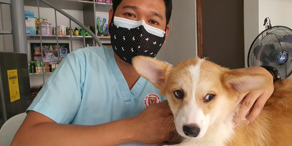 a man wearing a face mask sitting next to a dog