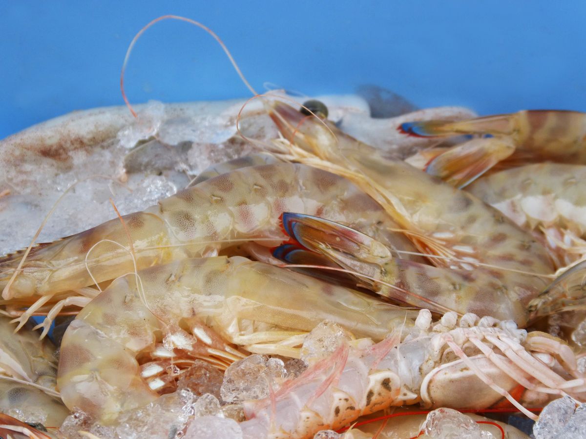 5. The Juicy Crab