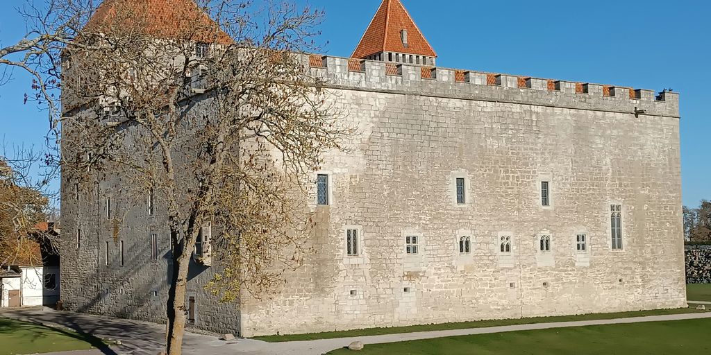 A castle with a tree in front of it