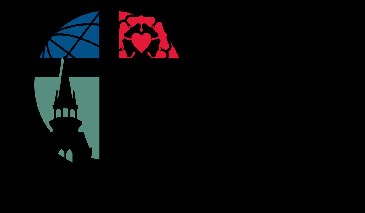 Post-Launch Strategies for Website Success