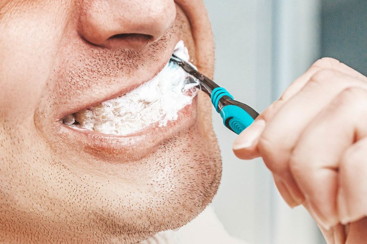 Kauen und Spielzeugauswahl für die Zahnreinigung beim Labrador