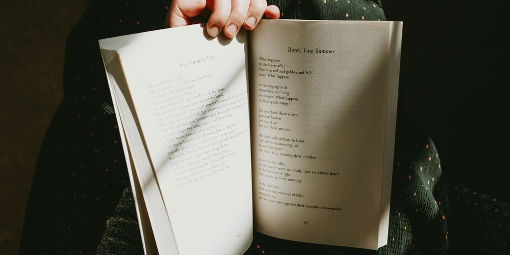 a person holding a book in their hands