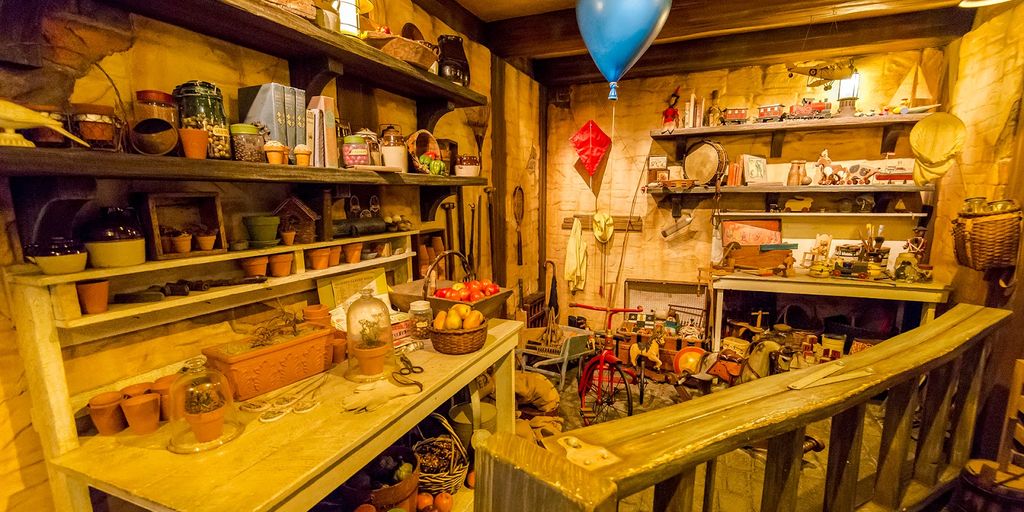 cozy cat boarding facility with elderly cats resting