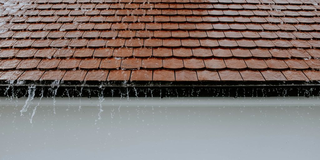 brown shingle roof