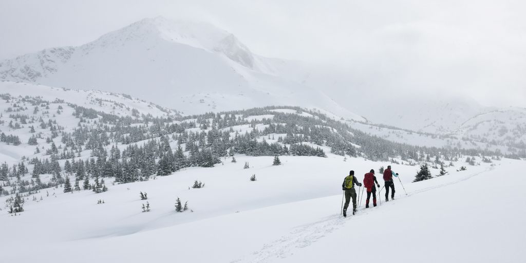 three people walking on snow