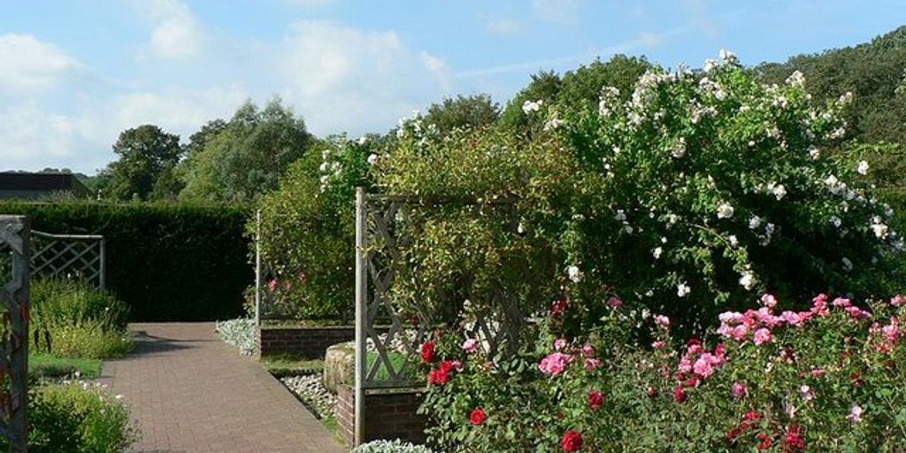 sensory garden with visually appealing plants