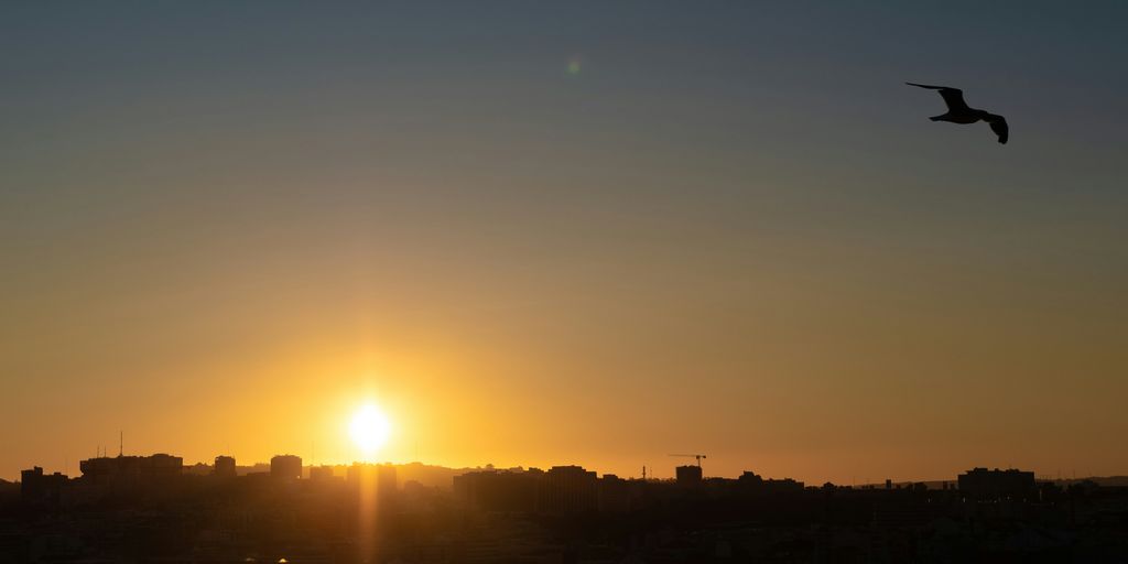 silhouette of building during sunset
