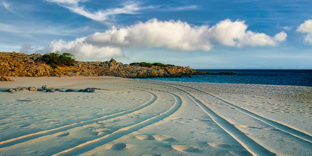 a sandy beach with tracks in the sand