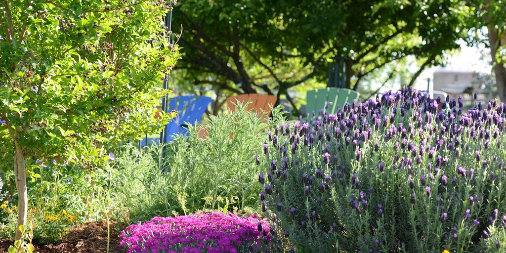sensory garden with various textures and plants