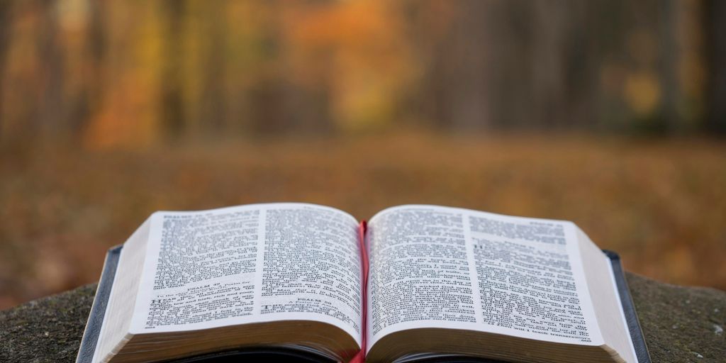bible page on gray concrete surface
