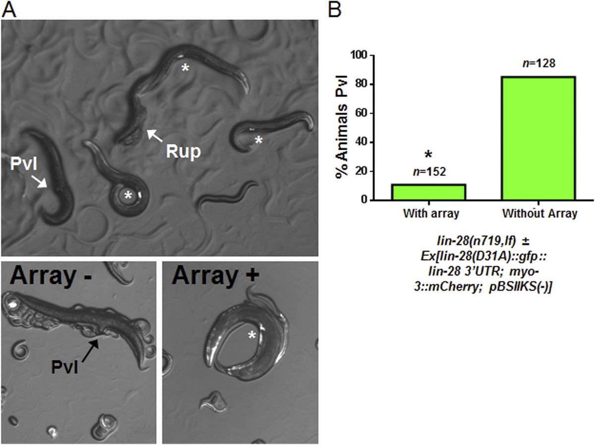 Establishing a Solid Foundation for Continuous Improvement