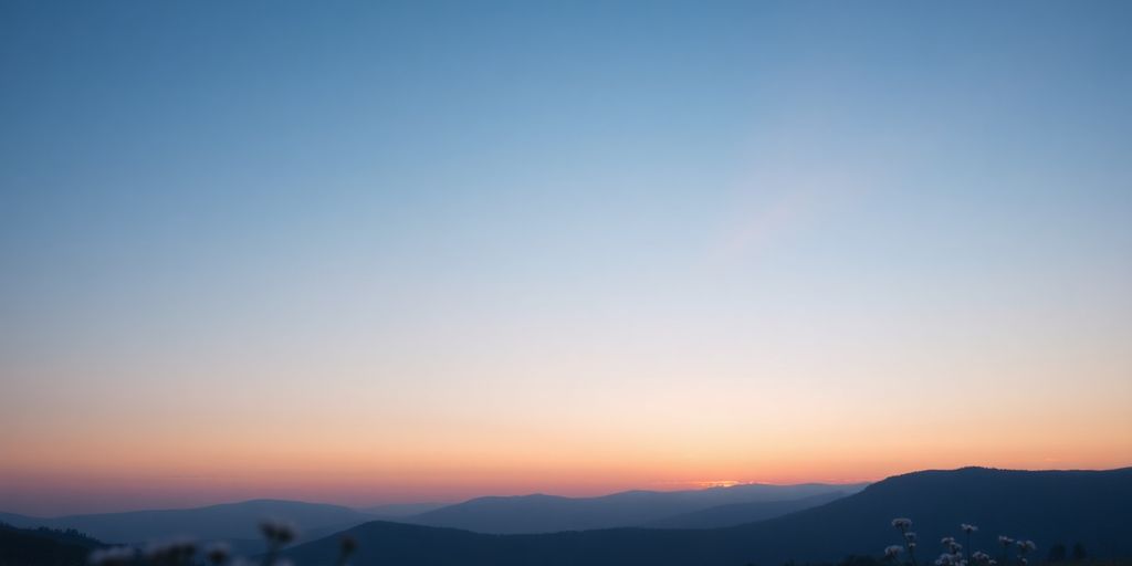Silhouette of hills and blooming flowers at dawn.