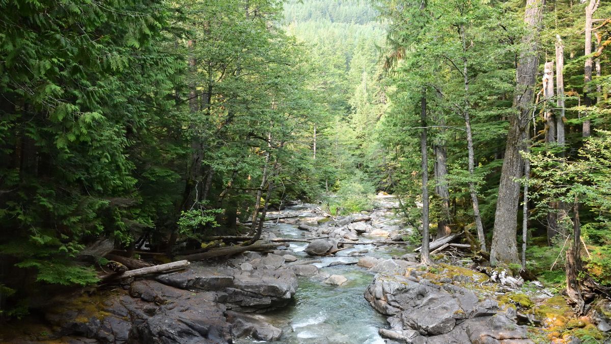 Interactive Strategies for Email List Growth