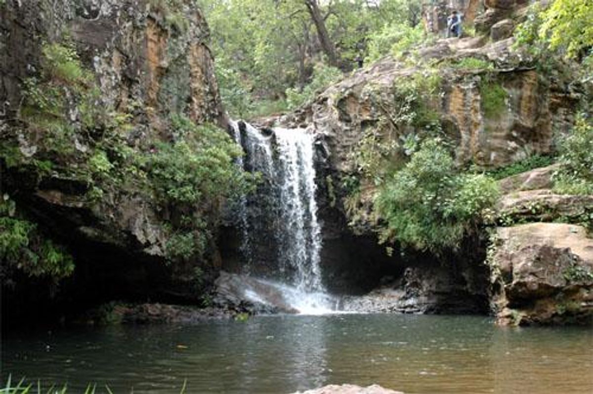 7. Madhya Pradesh