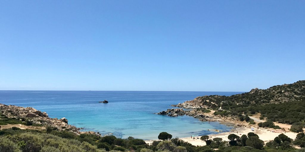 green grass field near body of water during daytime