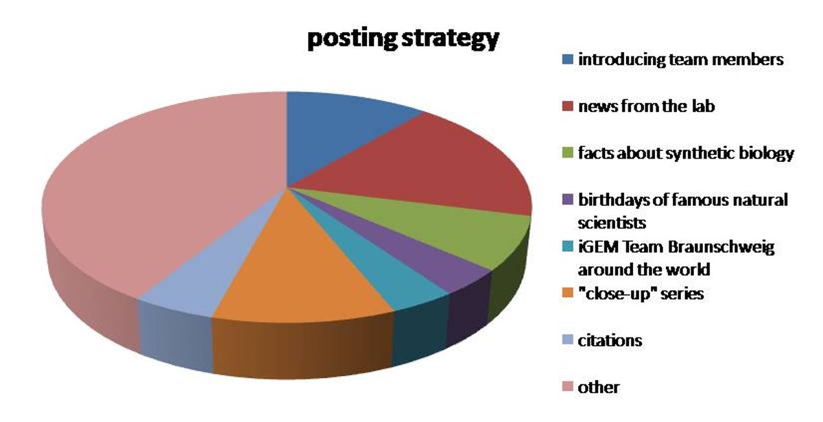 Utilizing Analytics for Growth