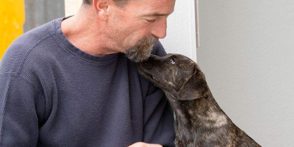 Tales of Canine Heroism: Celebrating Dogs Who Made a Difference - Pre ...