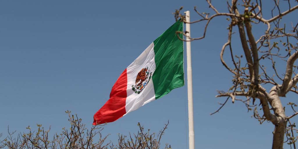 a flag flying in the wind next to a tree