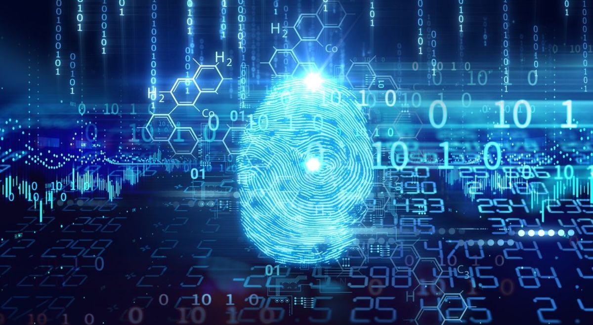 Optimizing Website Performance and Security