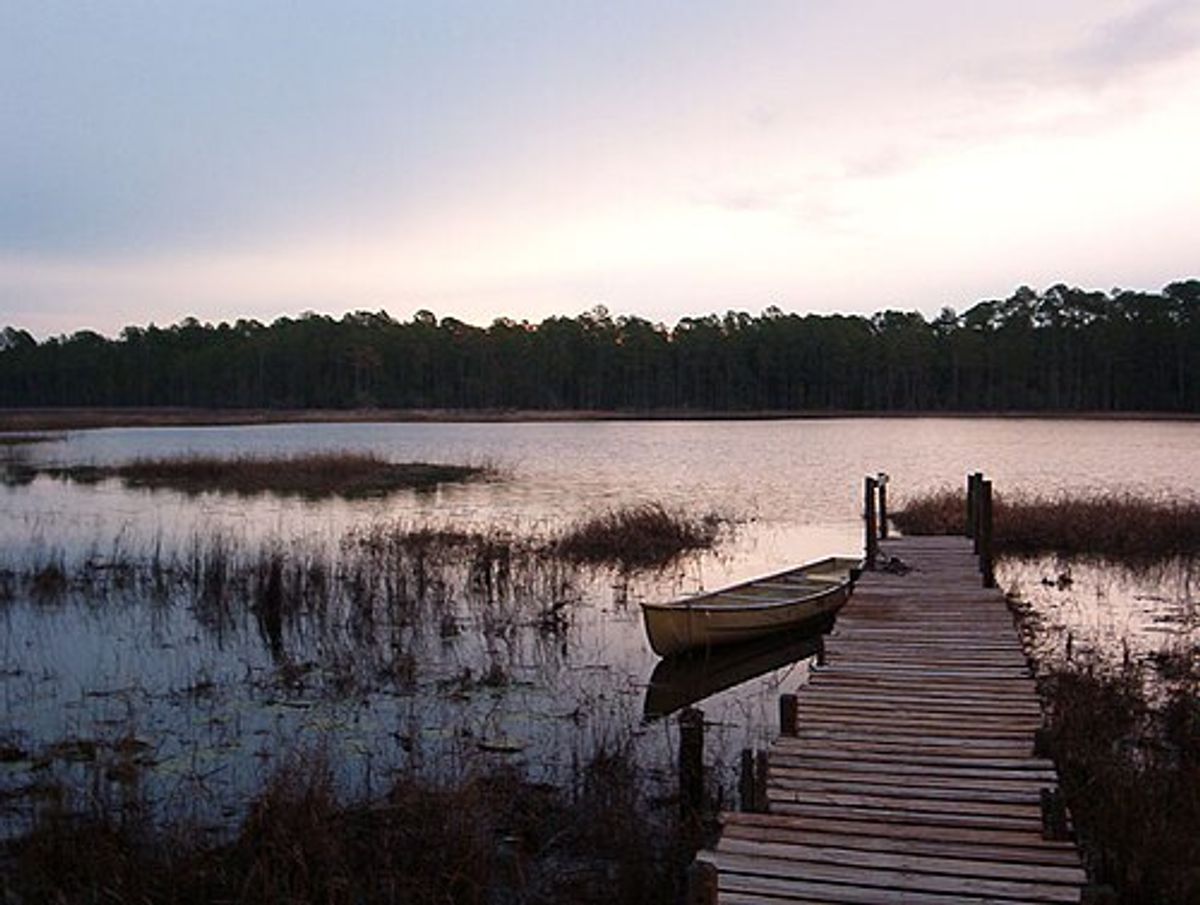Connect with Nature at the Lake Overstreet Trails
