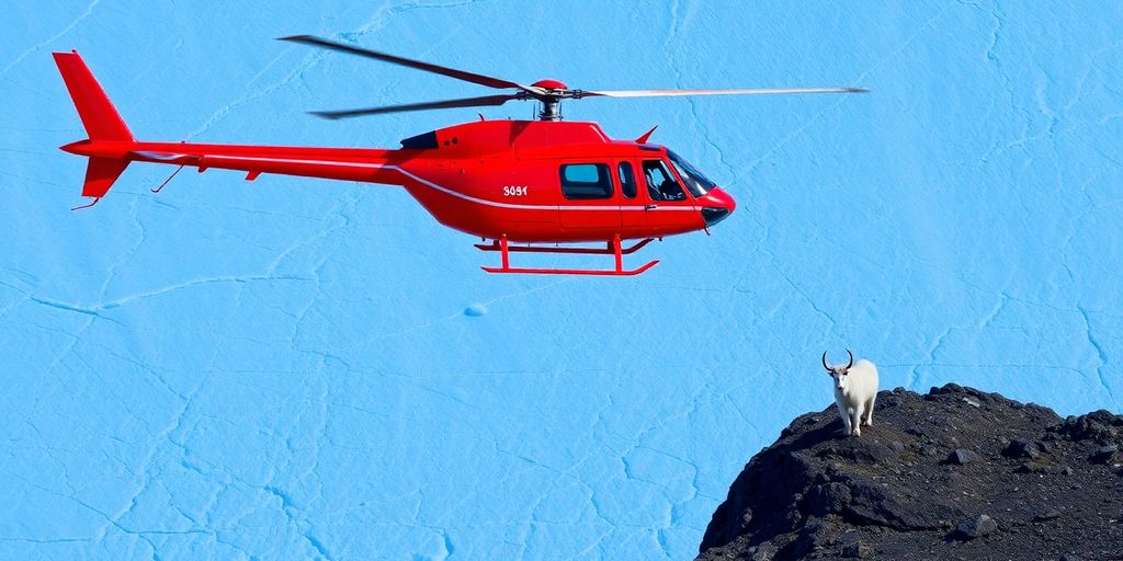 A helicopter flies over a Seward glacier and mountain goat.