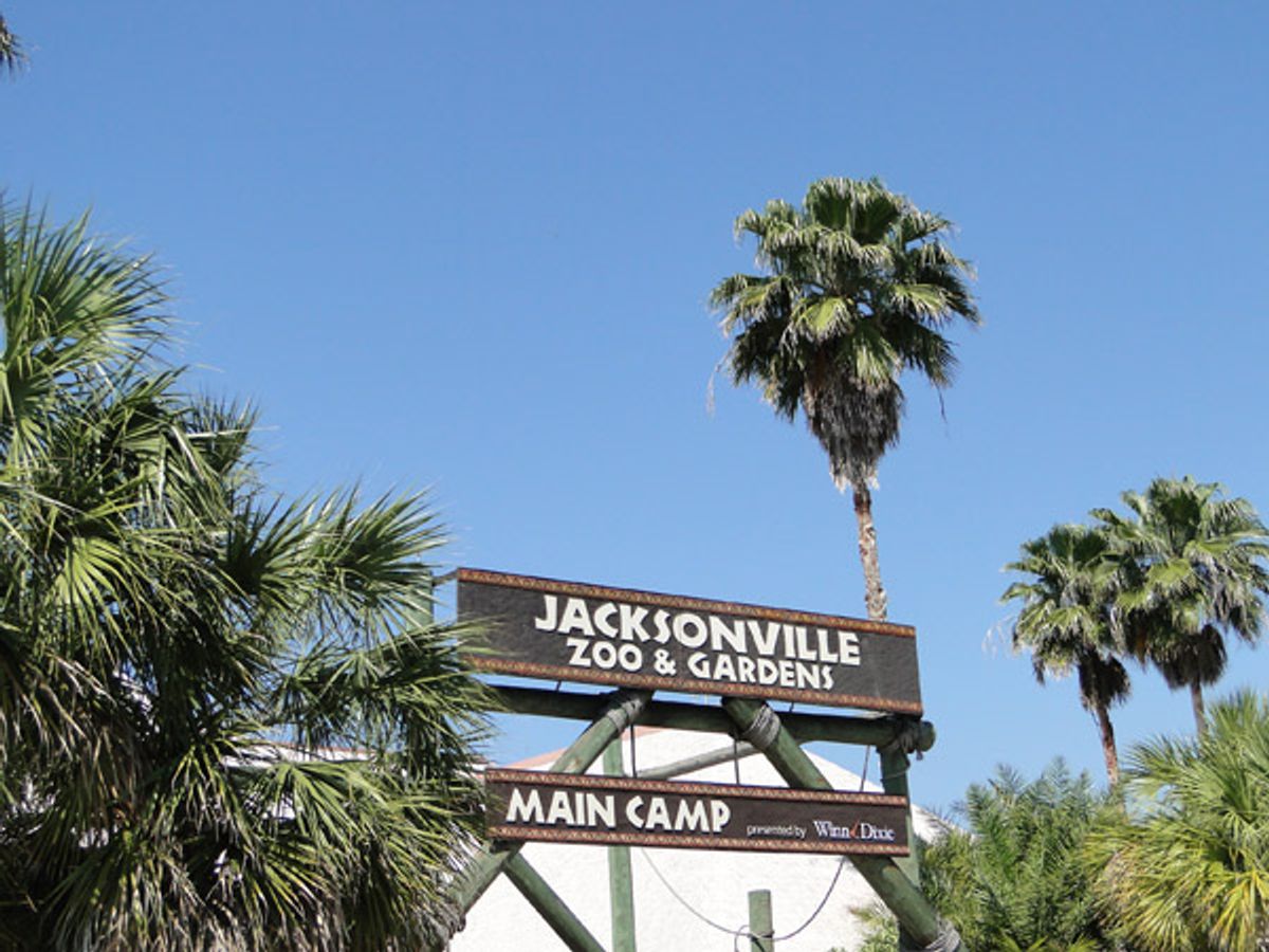 Southern Comforts: Jacksonville's Homestyle Havens