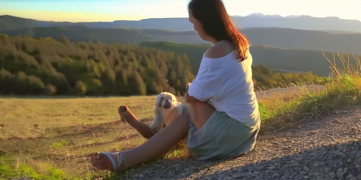 1. Pet Therapy