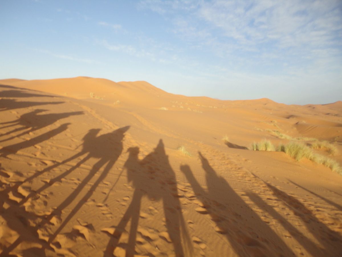 Sahara Desert
