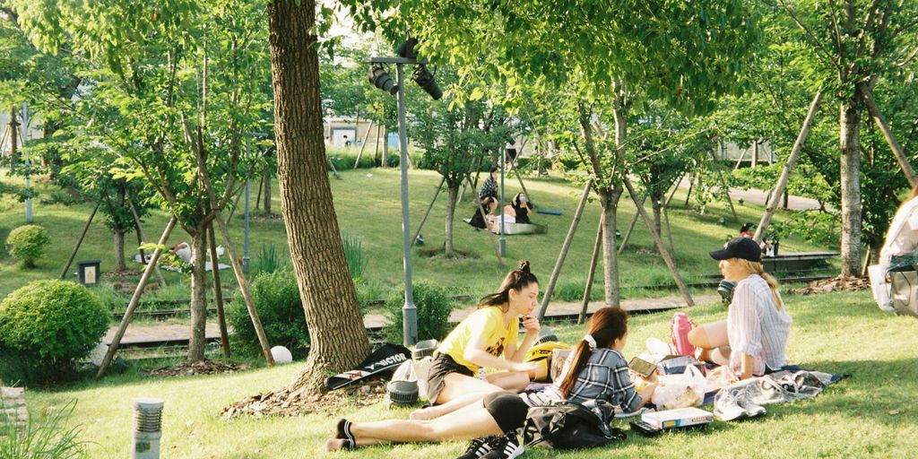 a group of people sitting on the grass